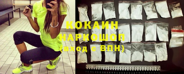 mix Бородино