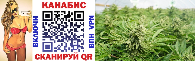 Купить где Георгиевск Каннабис ГИДРОПОН